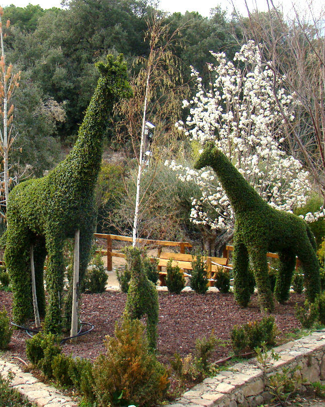 El Bosque Encantado, un jardín idílico para tu Luna de Miel