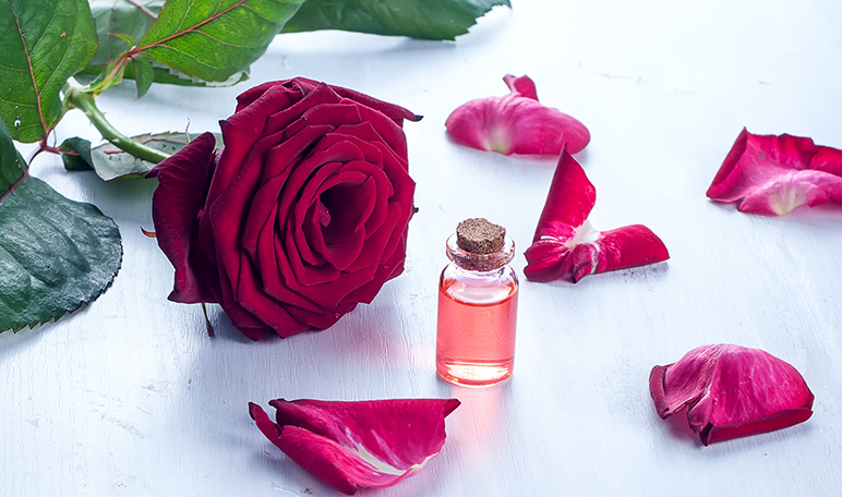 Perfumes Solema: perfumes de equivalencia de la mejor calidad - Siéntete Guapa