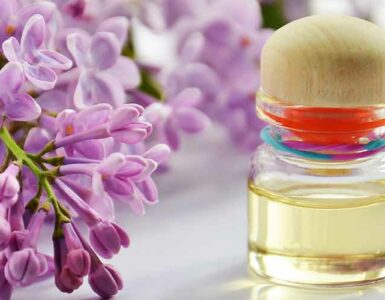 Aceite esencial junto a flores de color lila.